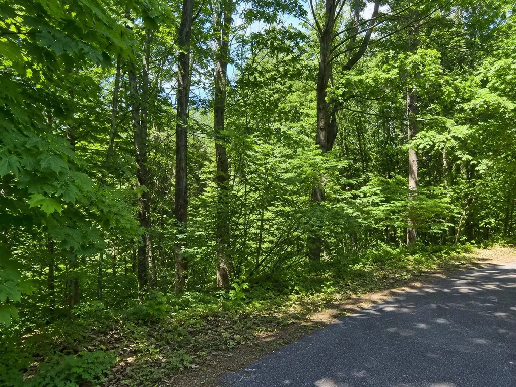 Sanborn Street Laconia NH 03246
