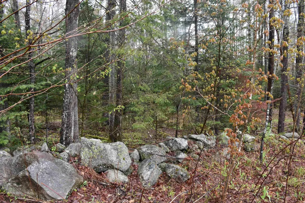 120 Darling Road Marshfield VT 05658