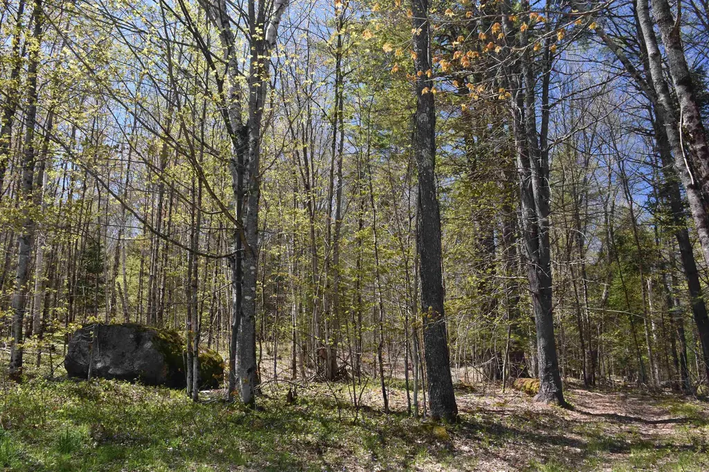 120 Darling Road Marshfield VT 05658