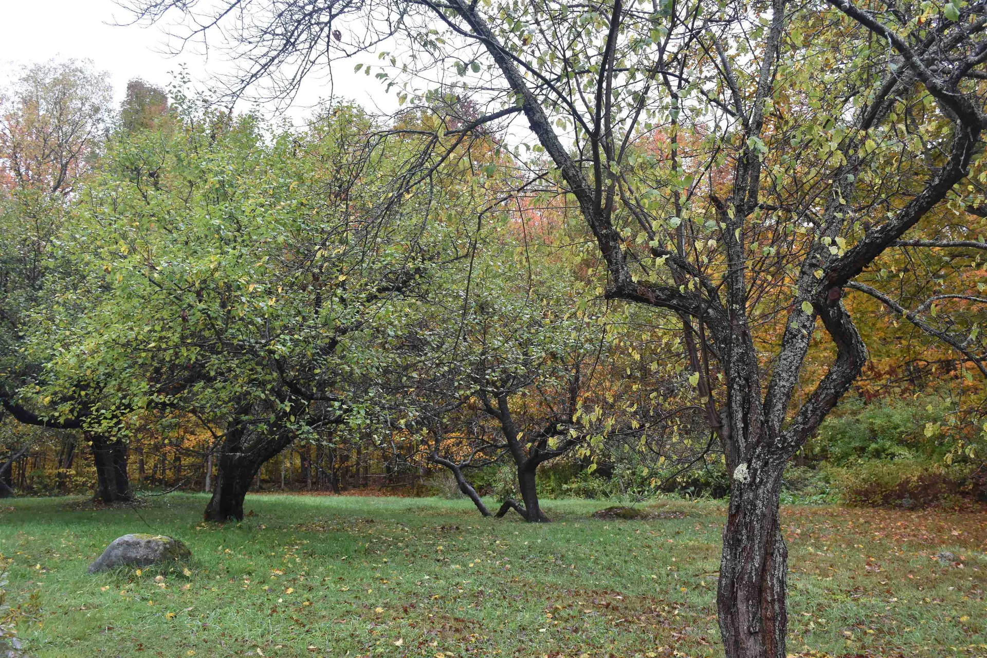 120 Darling Road Marshfield VT 05658