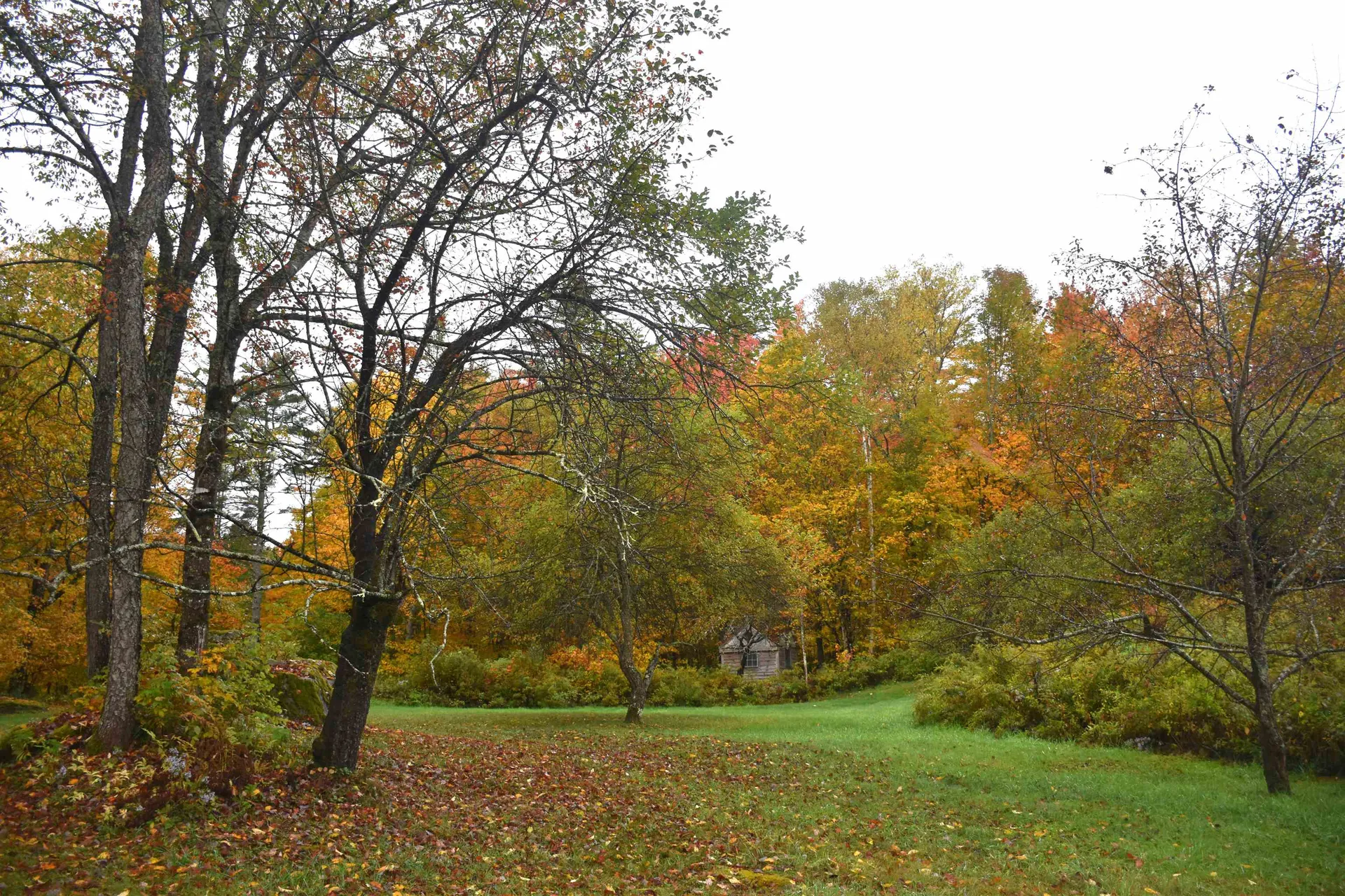 120 Darling Road Marshfield VT 05658