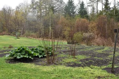 120 Darling Road Marshfield VT 05658