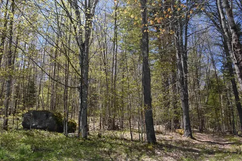 120 Darling Road Marshfield VT 05658