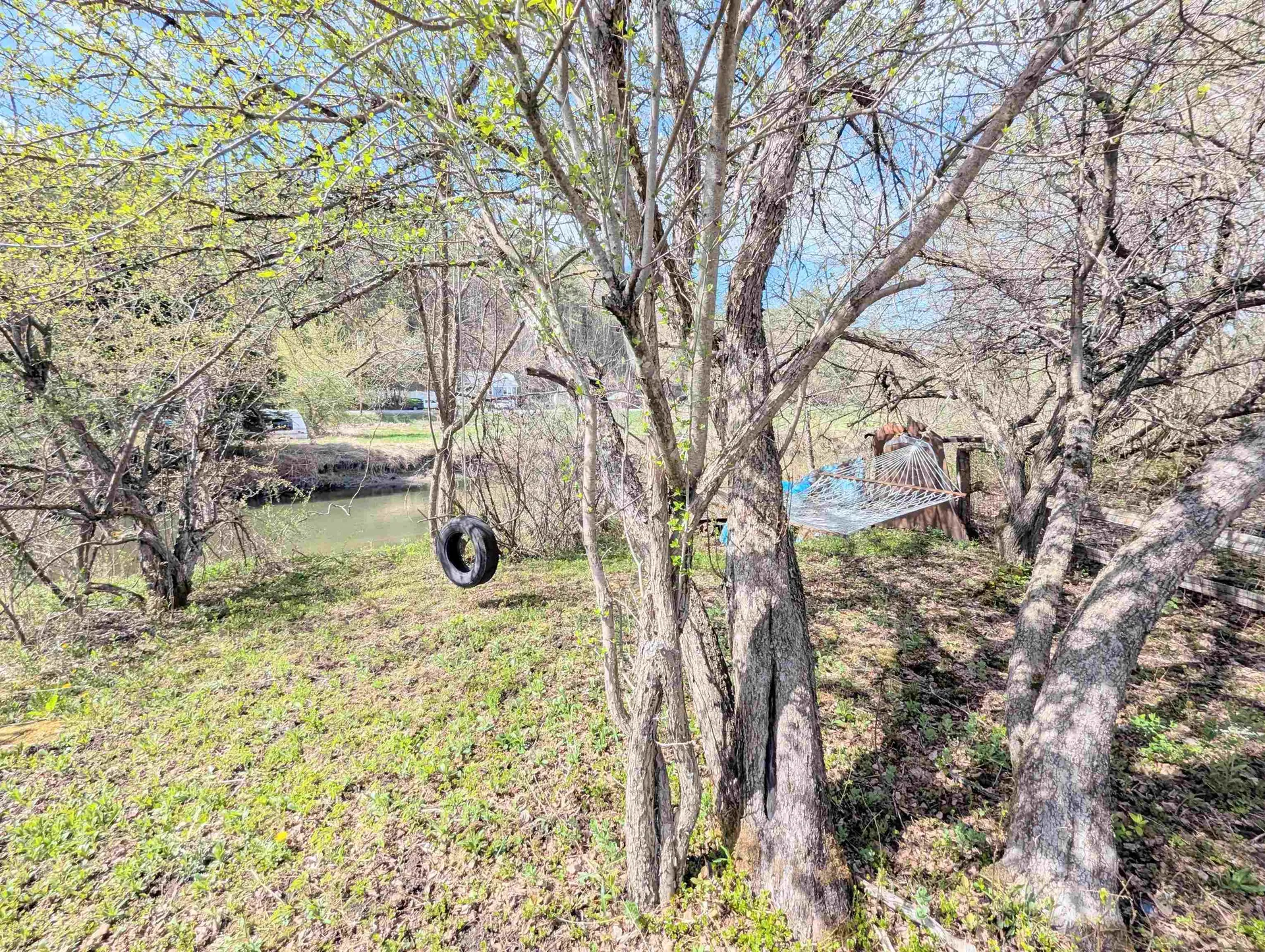 1292 Us Route 2 Marshfield VT 05658