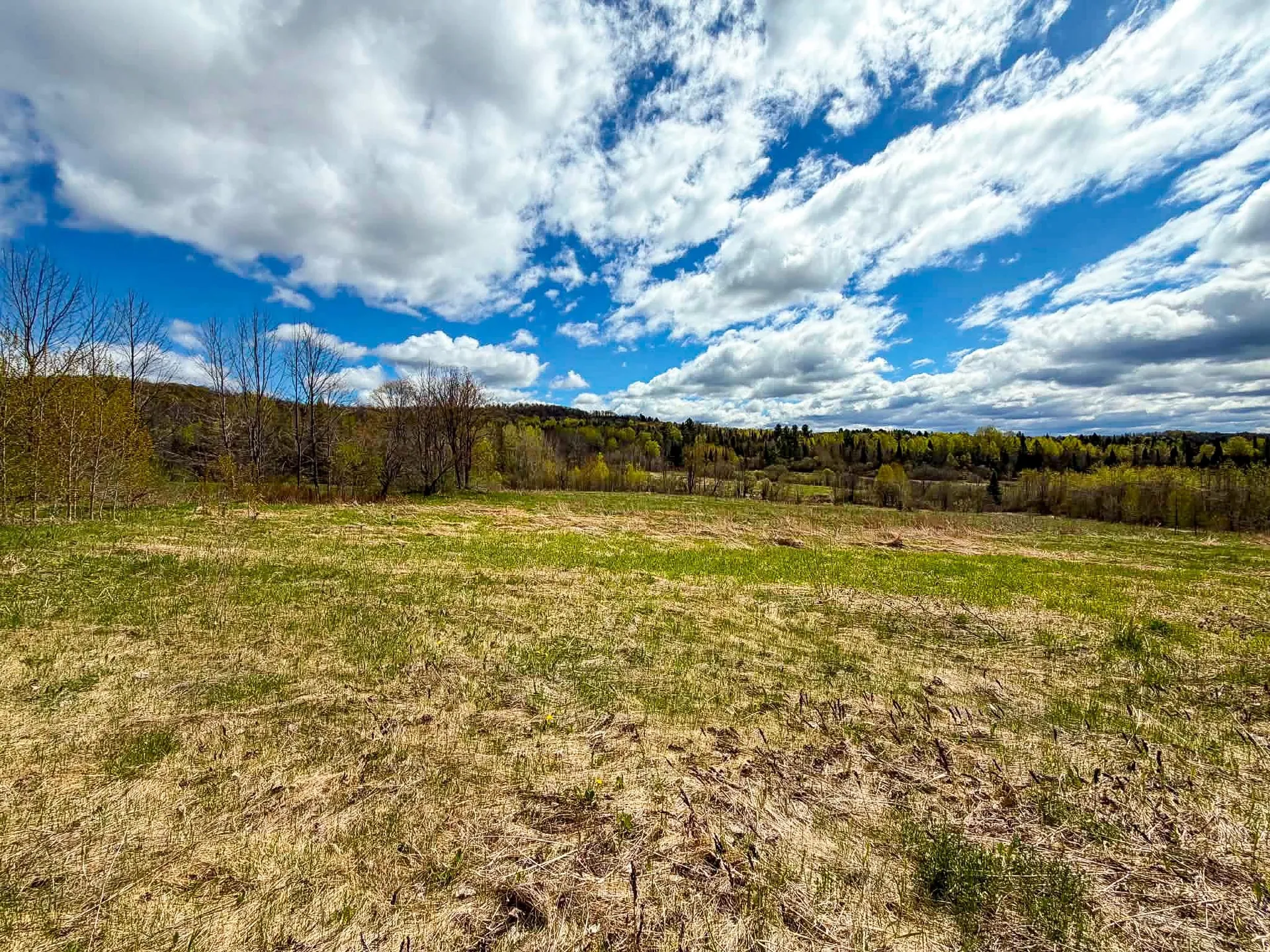 - Hinman Settler Road Derby VT 05829
