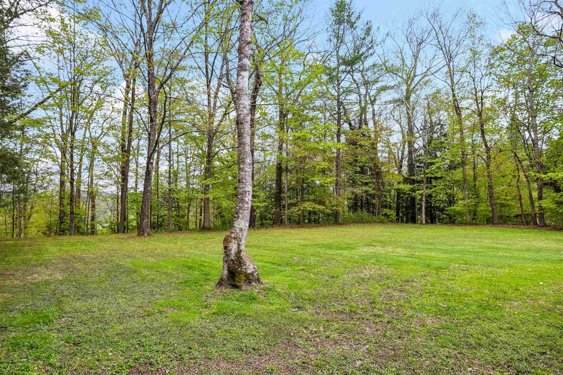 21 Dell Road Springfield VT 05156