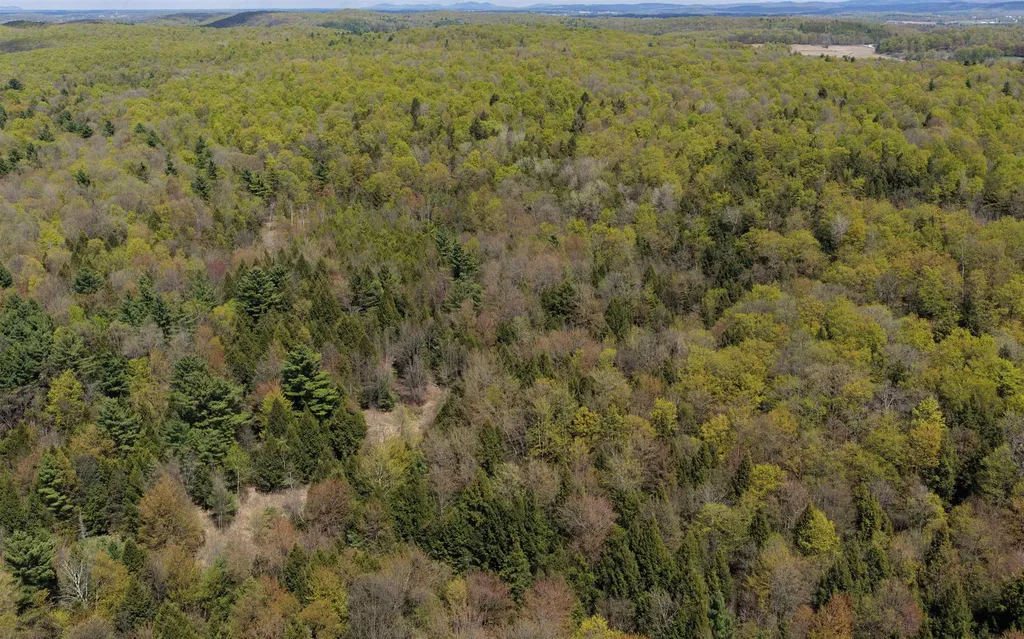 0 Oak Haven Road Highgate VT 05459