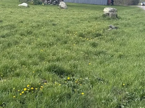 26 Cory's Lane Jericho VT 05465