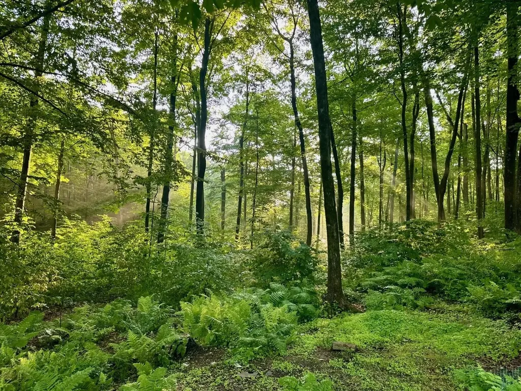 515 Quarry Road Bennington VT 05201
