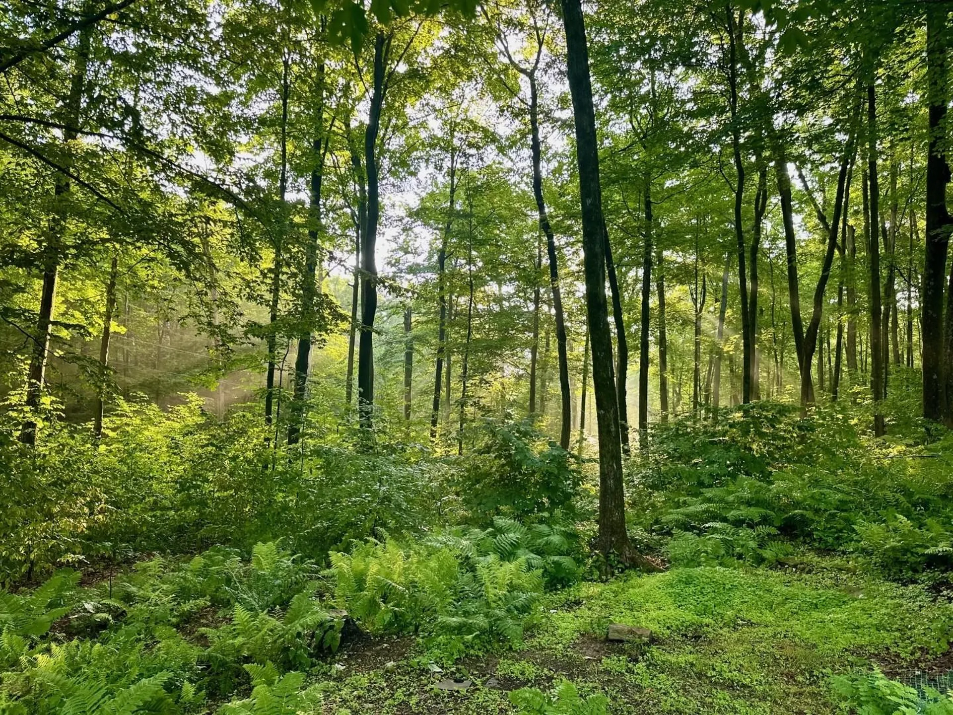 515 Quarry Road Bennington VT 05201