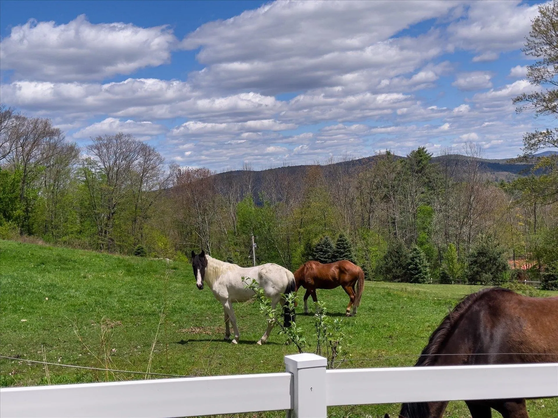 295 Manning Hill Road Winchester NH 03470