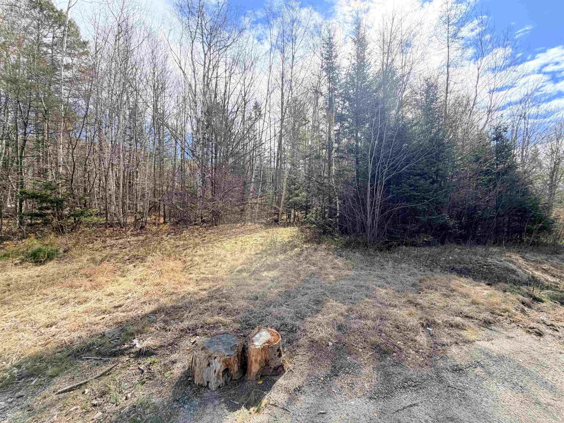 00 Route 3 North Carroll NH 03595