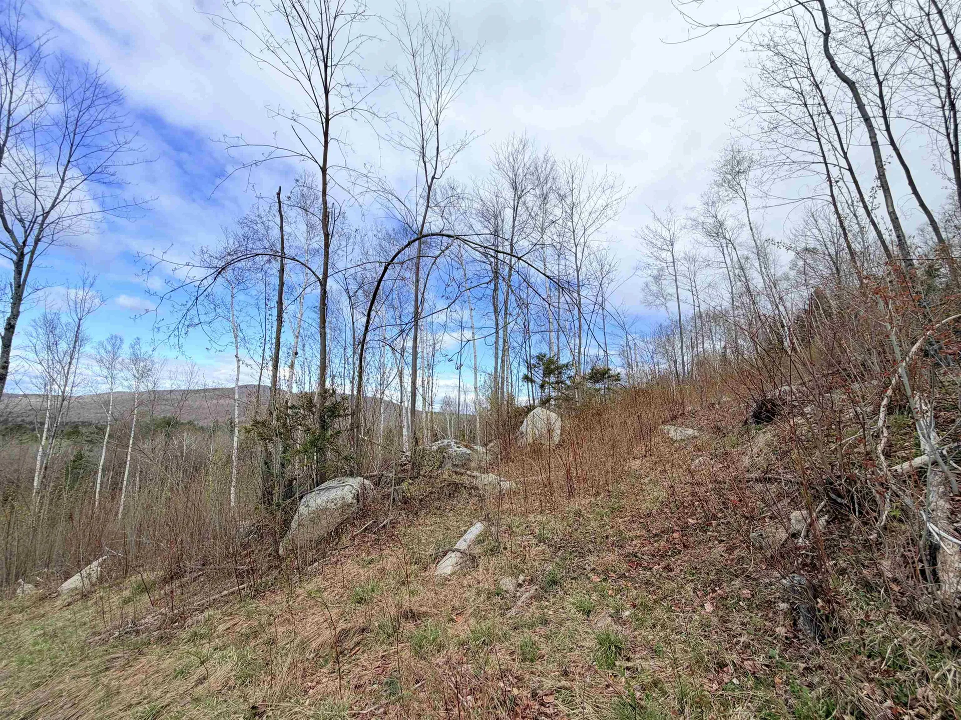 00 Route 3 North Carroll NH 03595