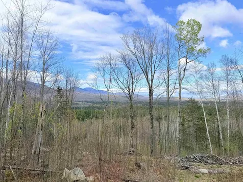 00 Route 3 North Carroll NH 03595