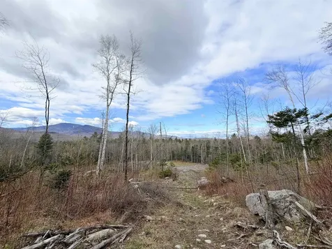 00 Route 3 North Carroll NH 03595
