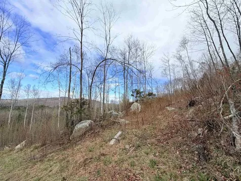 00 Route 3 North Carroll NH 03595