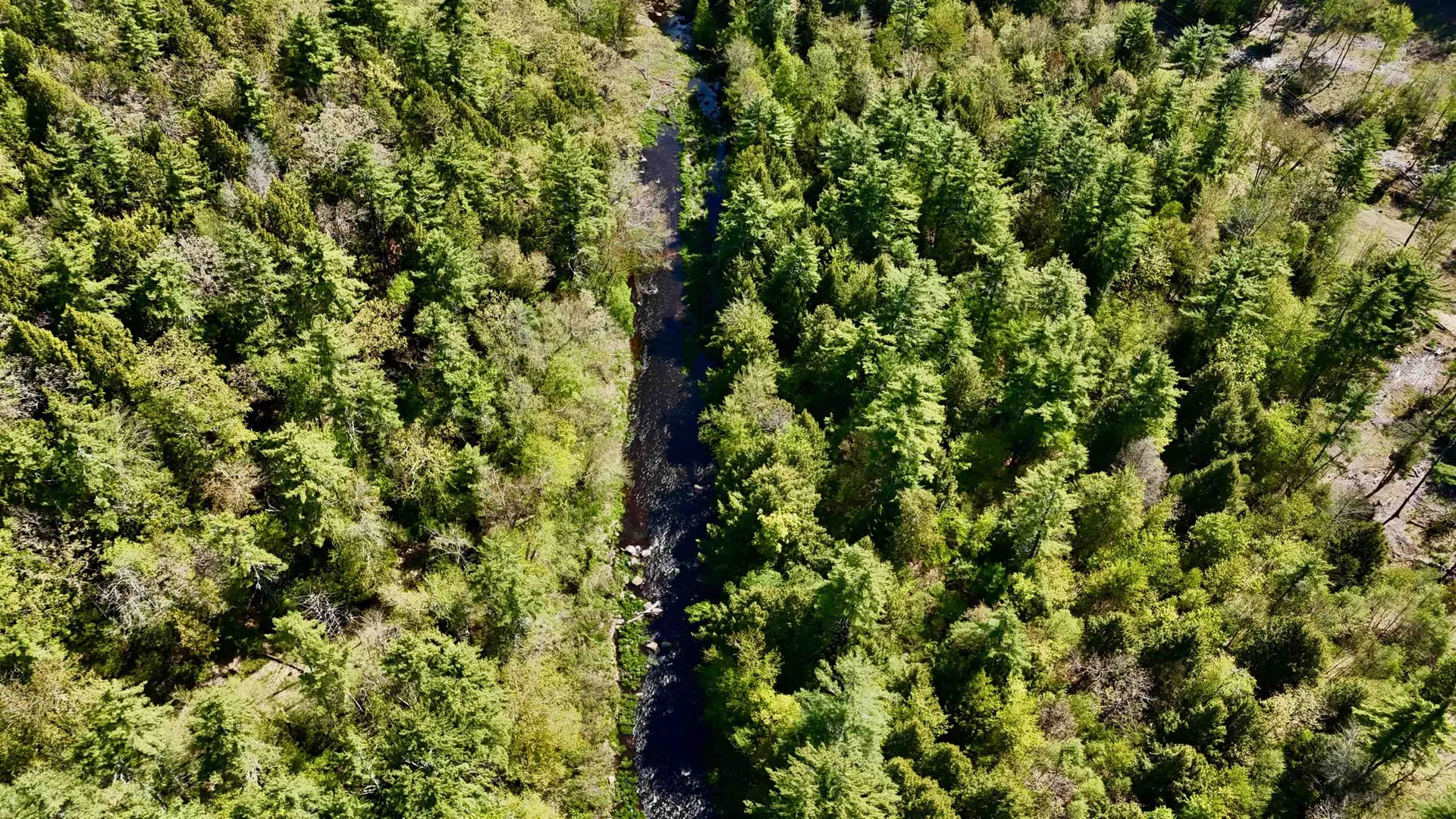 Russell Hill Road Wilton NH 03086