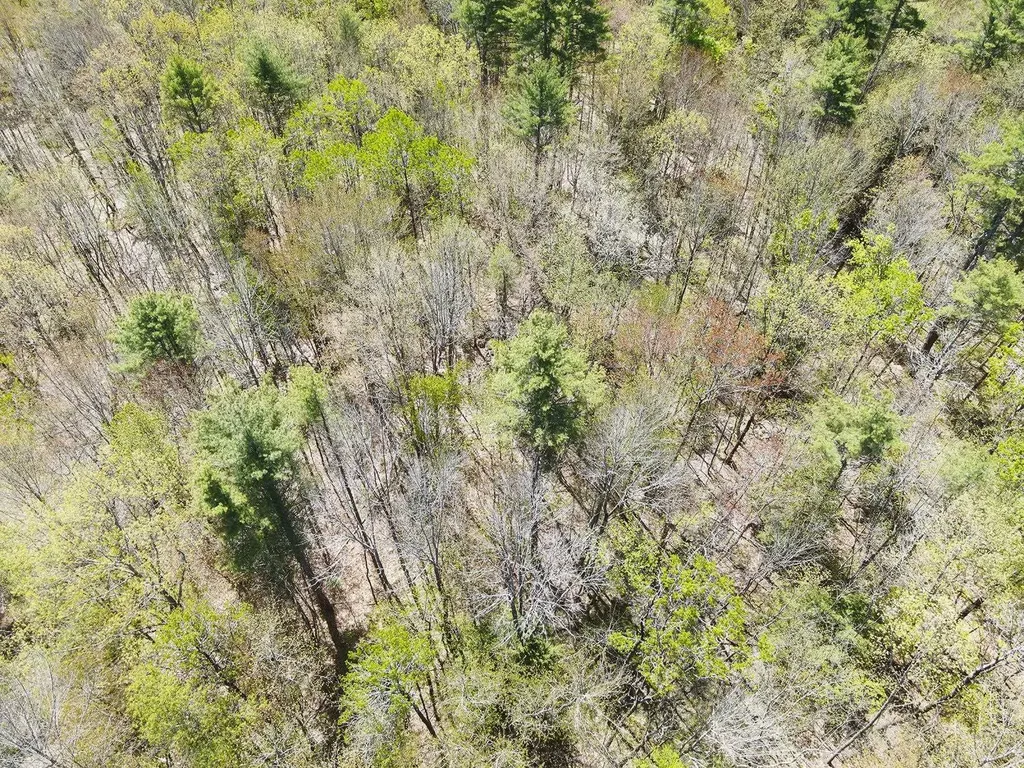 547 White Oaks Road Laconia NH 03246