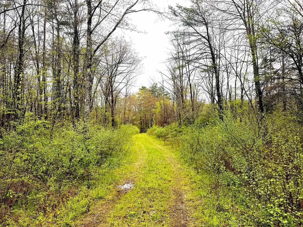 547 White Oaks Road Laconia NH 03246