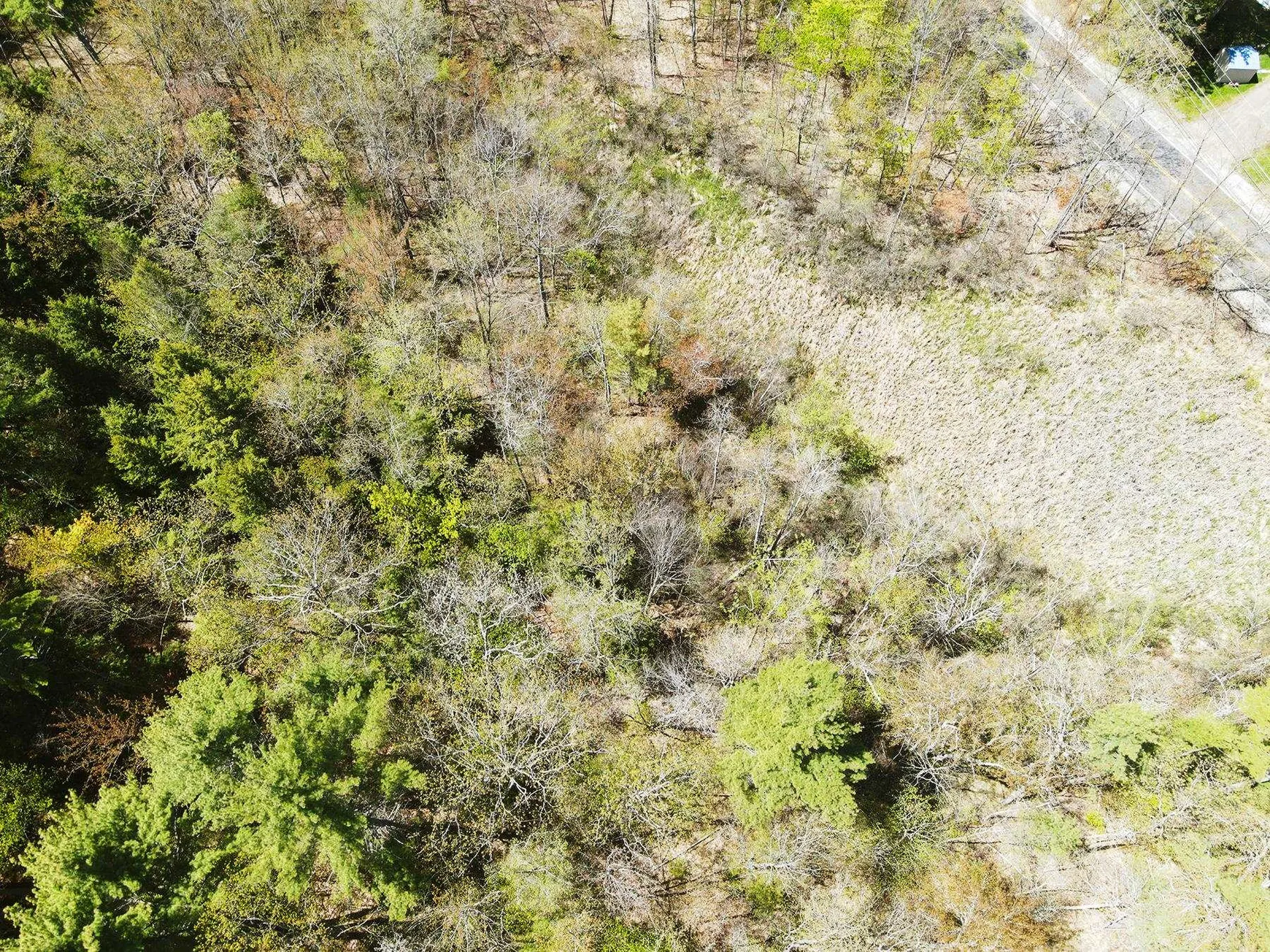 547 White Oaks Road Laconia NH 03246