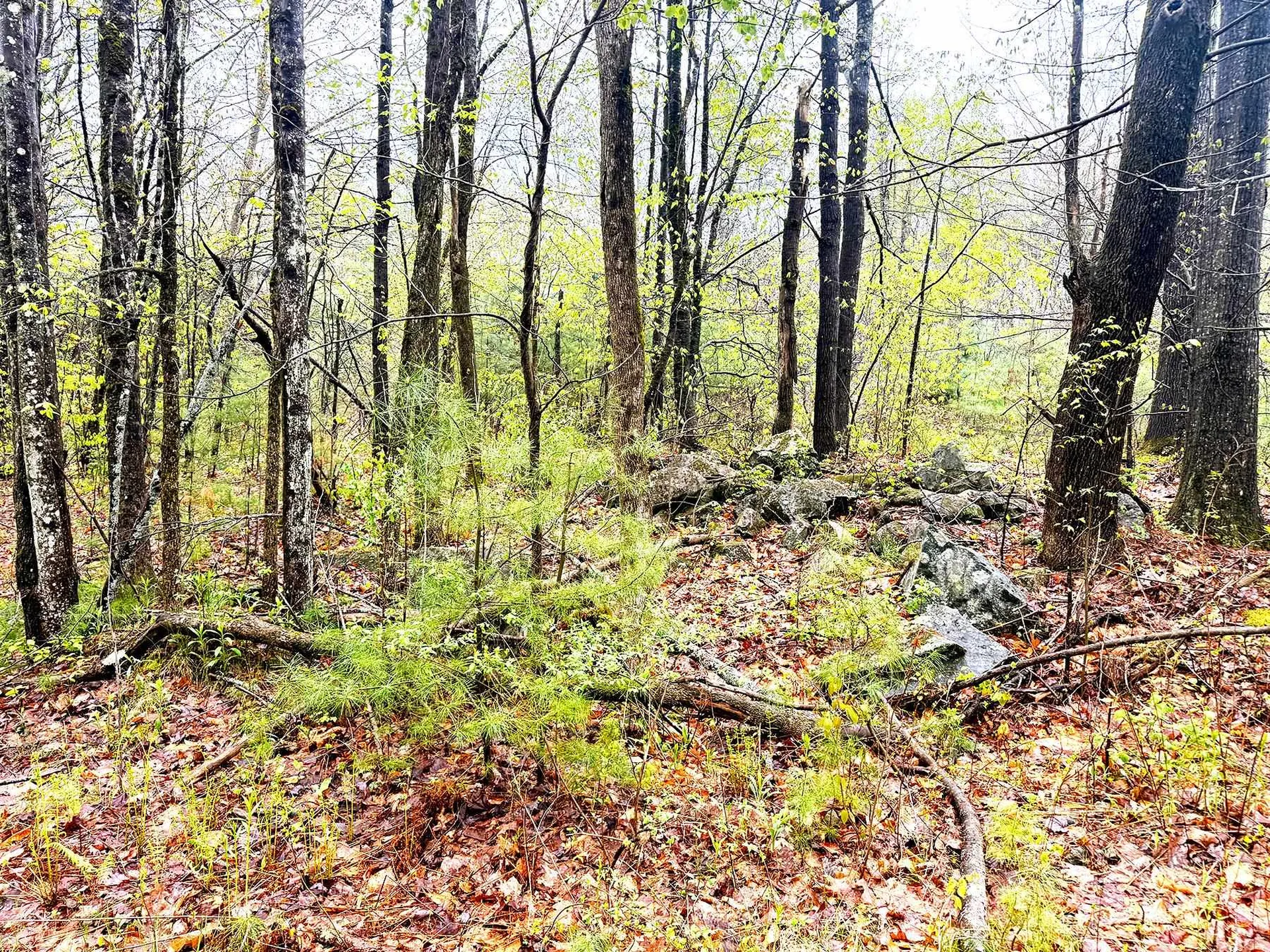 547 White Oaks Road Laconia NH 03246