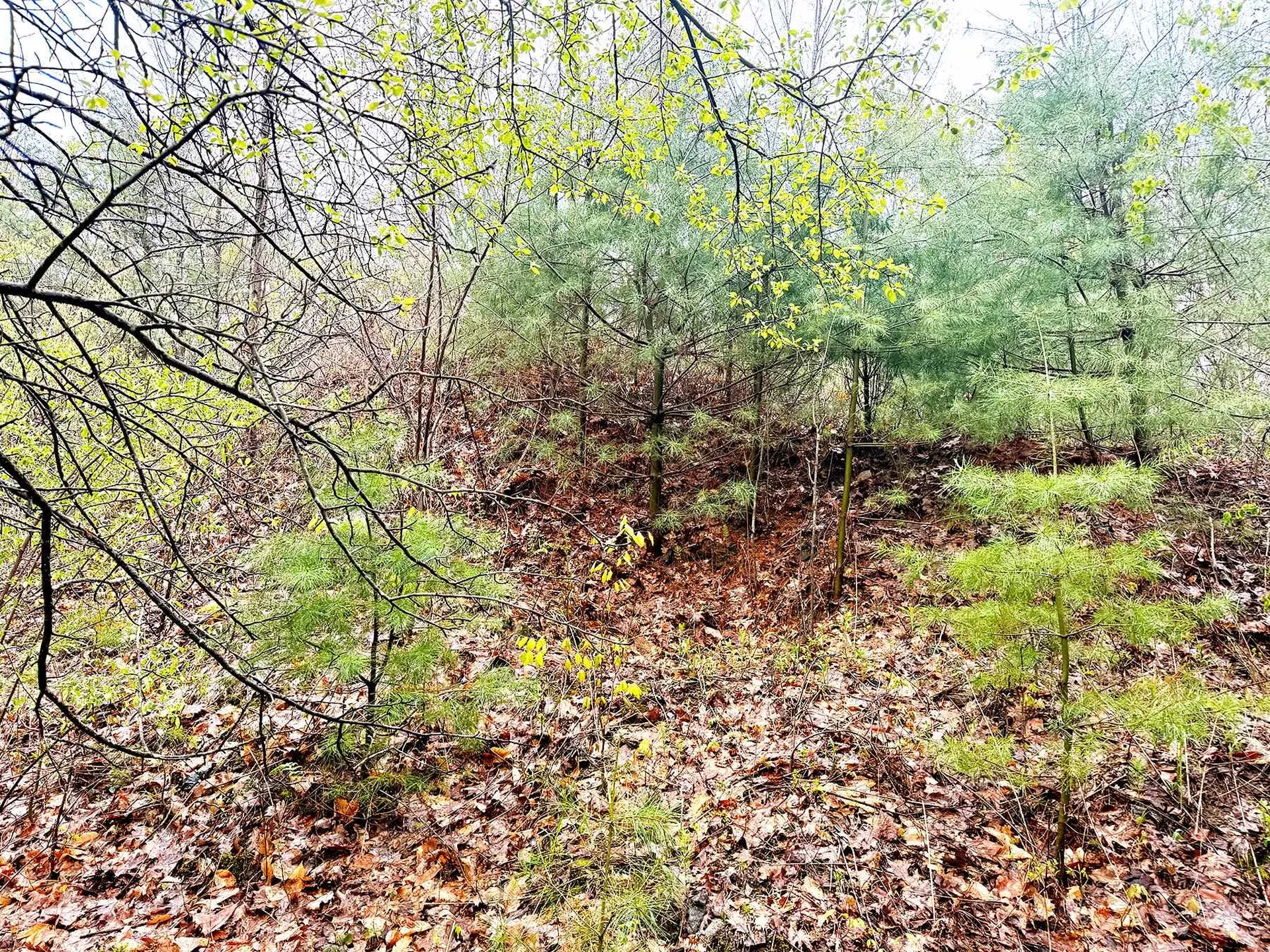 547 White Oaks Road Laconia NH 03246
