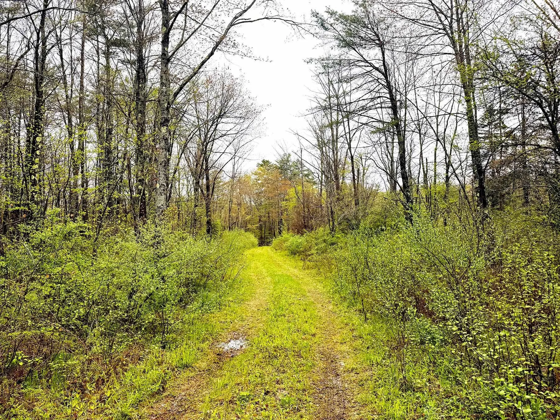 547 White Oaks Road Laconia NH 03246