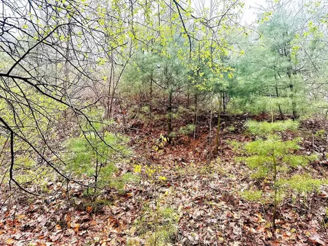 547 White Oaks Road Laconia NH 03246