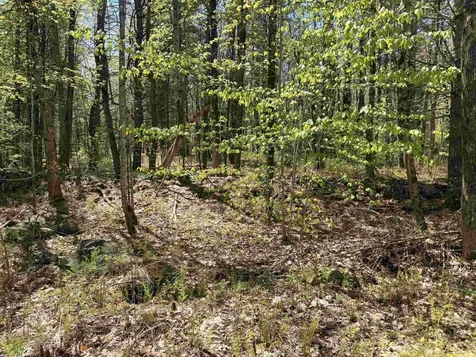 547 White Oaks Road Laconia NH 03246