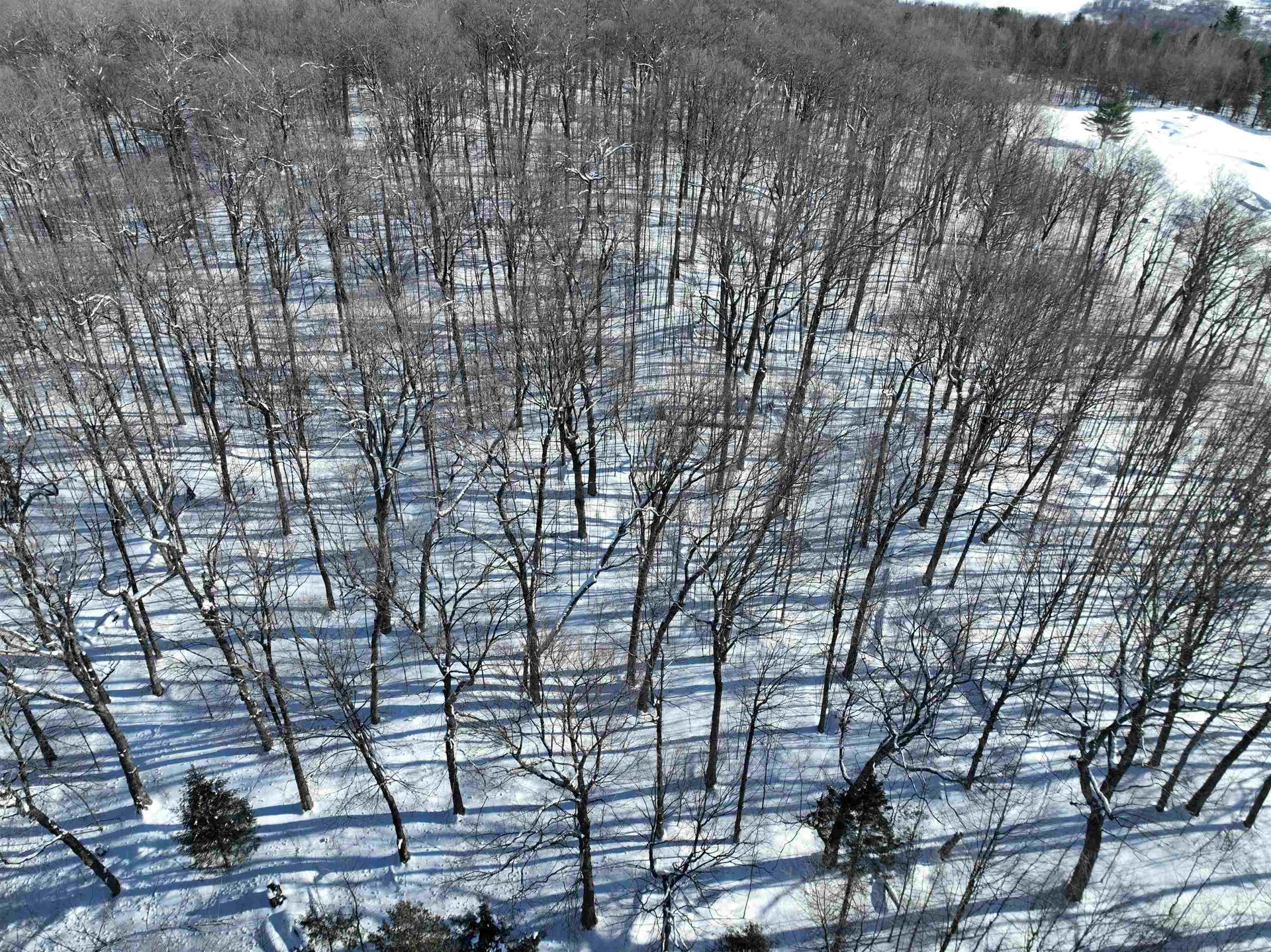 100 Derby Gore Road Derby VT 05829