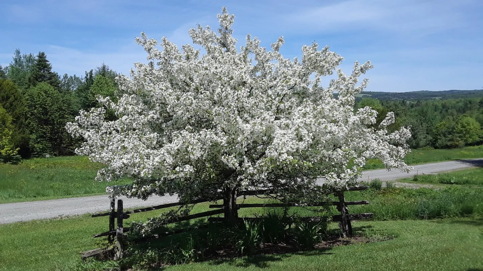 100 Derby Gore Road Derby VT 05829
