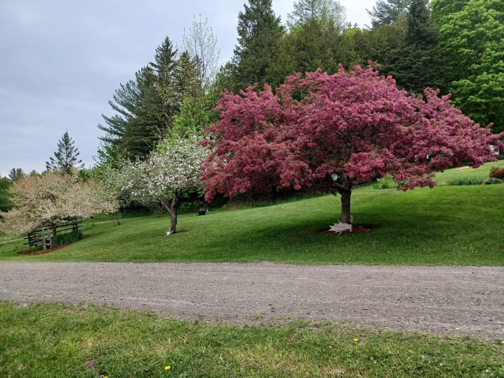 100 Derby Gore Road Derby VT 05829