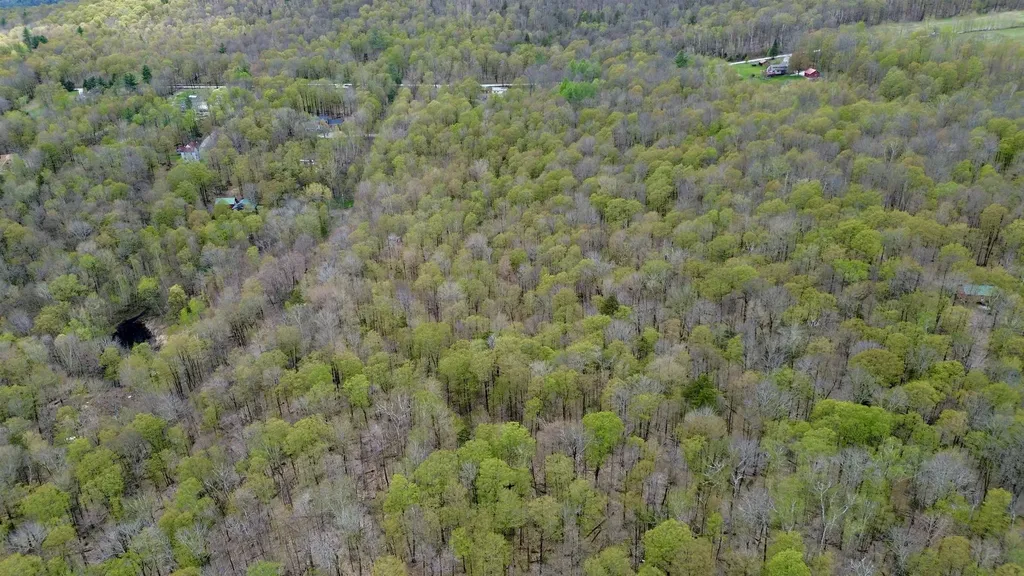 220 Middle Road Chittenden VT 05763