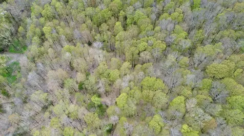 220 Middle Road Chittenden VT 05763