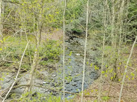 508 Wightman Hill Road Richford VT 05476