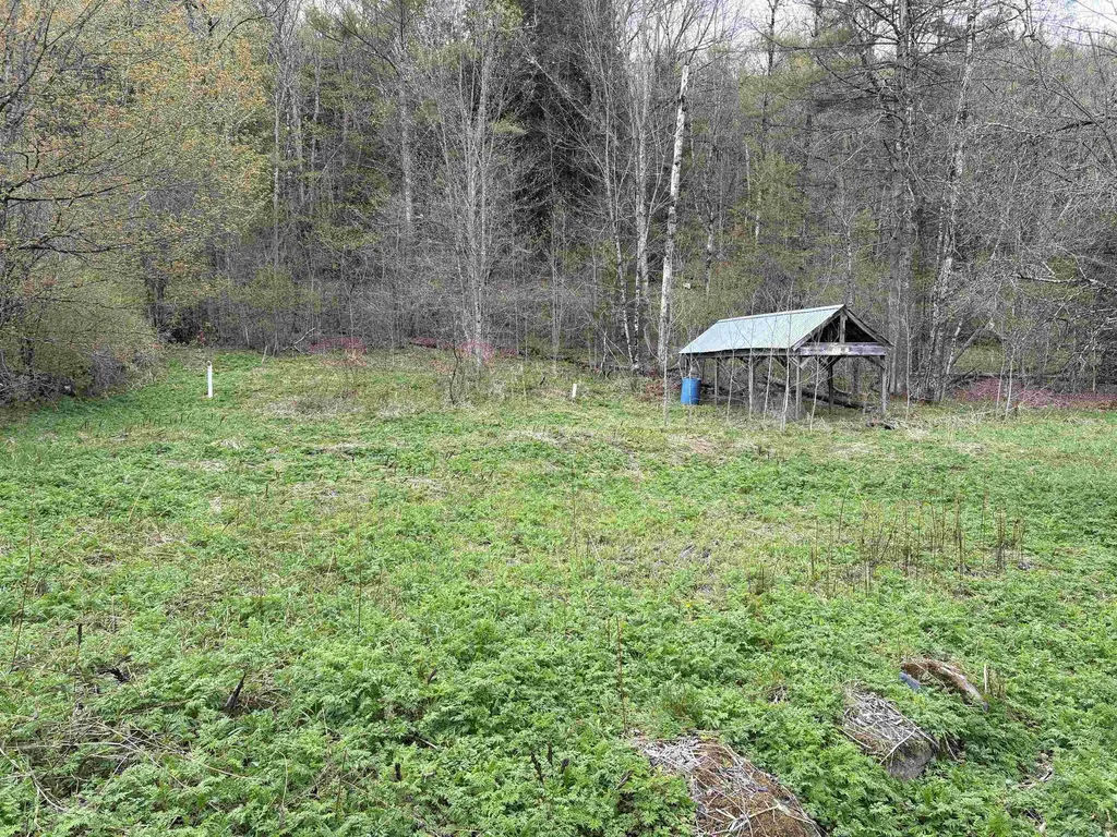 159 Bear Hill Road Braintree VT 05060