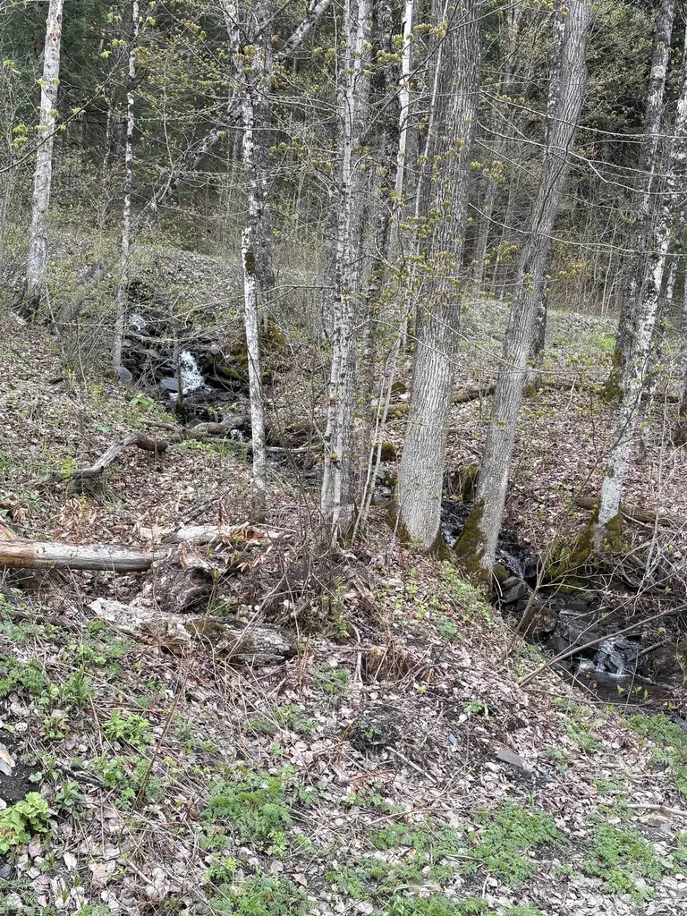 159 Bear Hill Road Braintree VT 05060