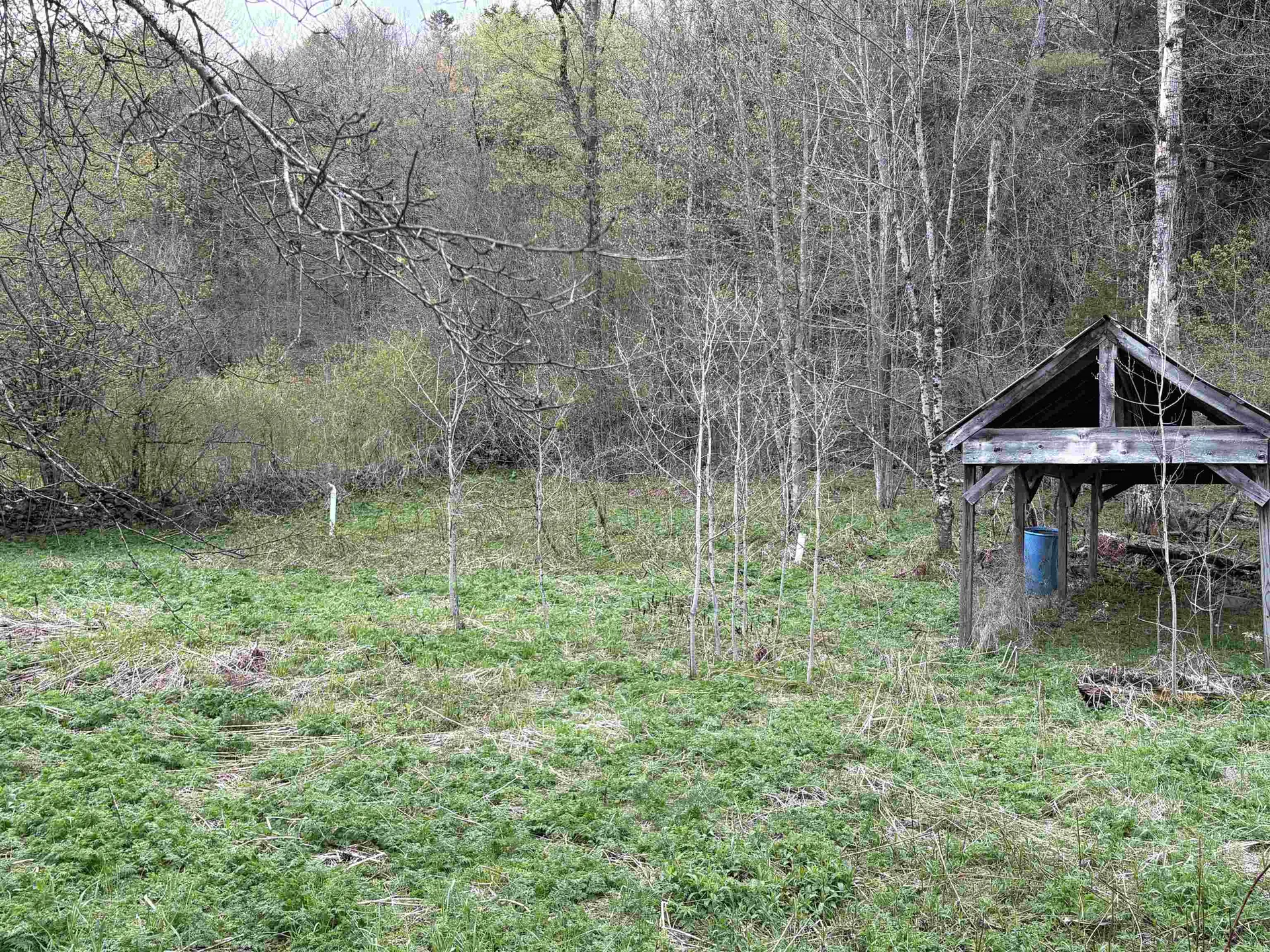 159 Bear Hill Road Braintree VT 05060