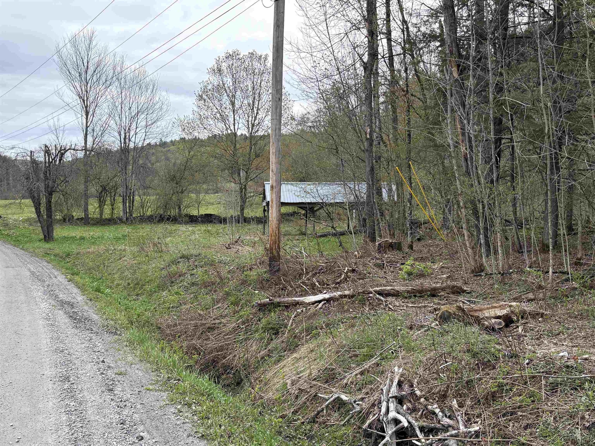 159 Bear Hill Road Braintree VT 05060