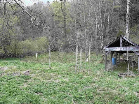 159 Bear Hill Road Braintree VT 05060