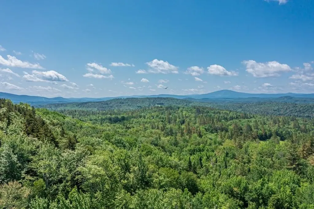 55 Uphill Road Landgrove VT 05148