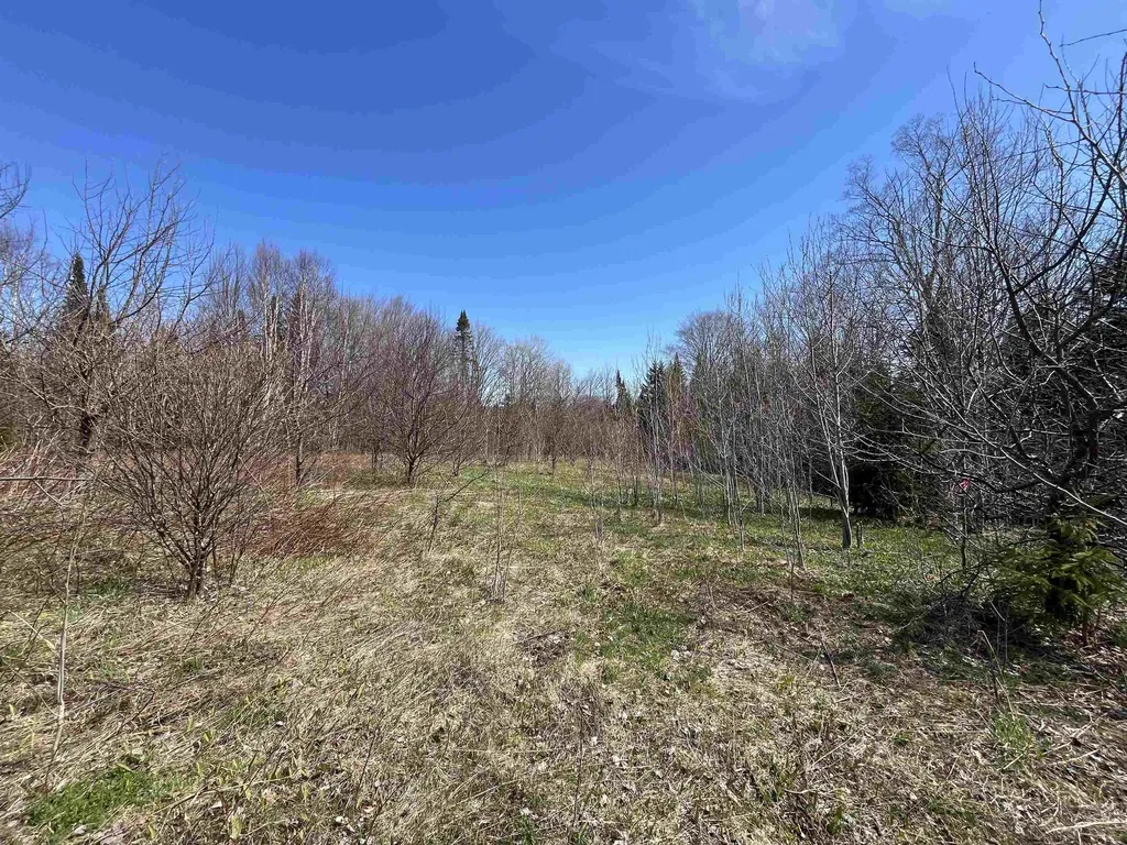 980 Coles Road Westmore VT 05860