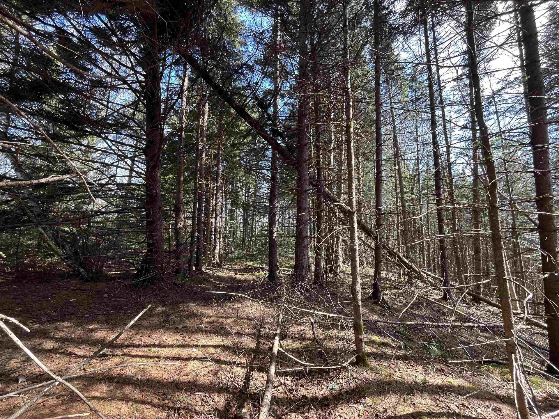 980 Coles Road Westmore VT 05860
