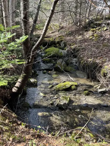 980 Coles Road Westmore VT 05860