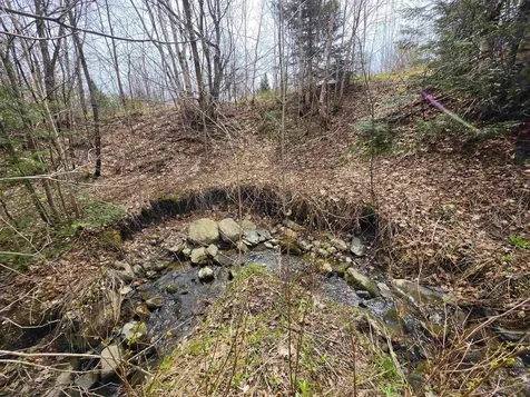 980 Coles Road Westmore VT 05860