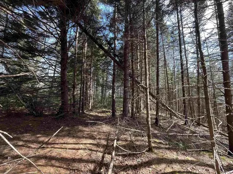 980 Coles Road Westmore VT 05860