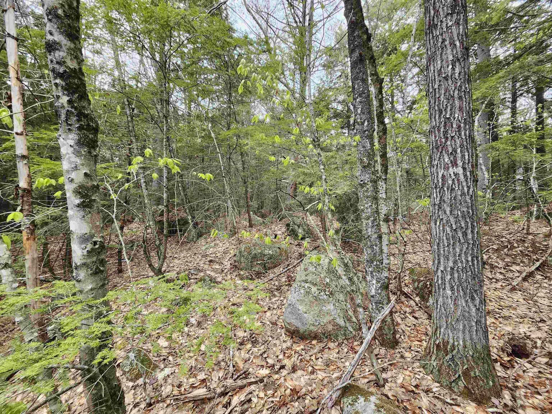 101-15 North Shore Road New Durham NH 03855