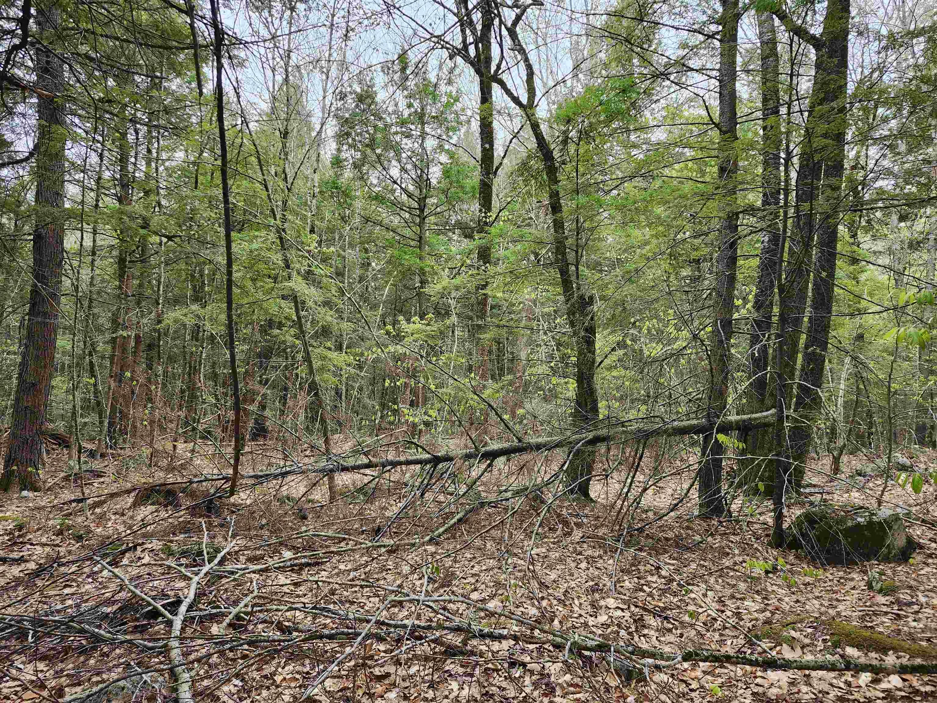 101-15 North Shore Road New Durham NH 03855