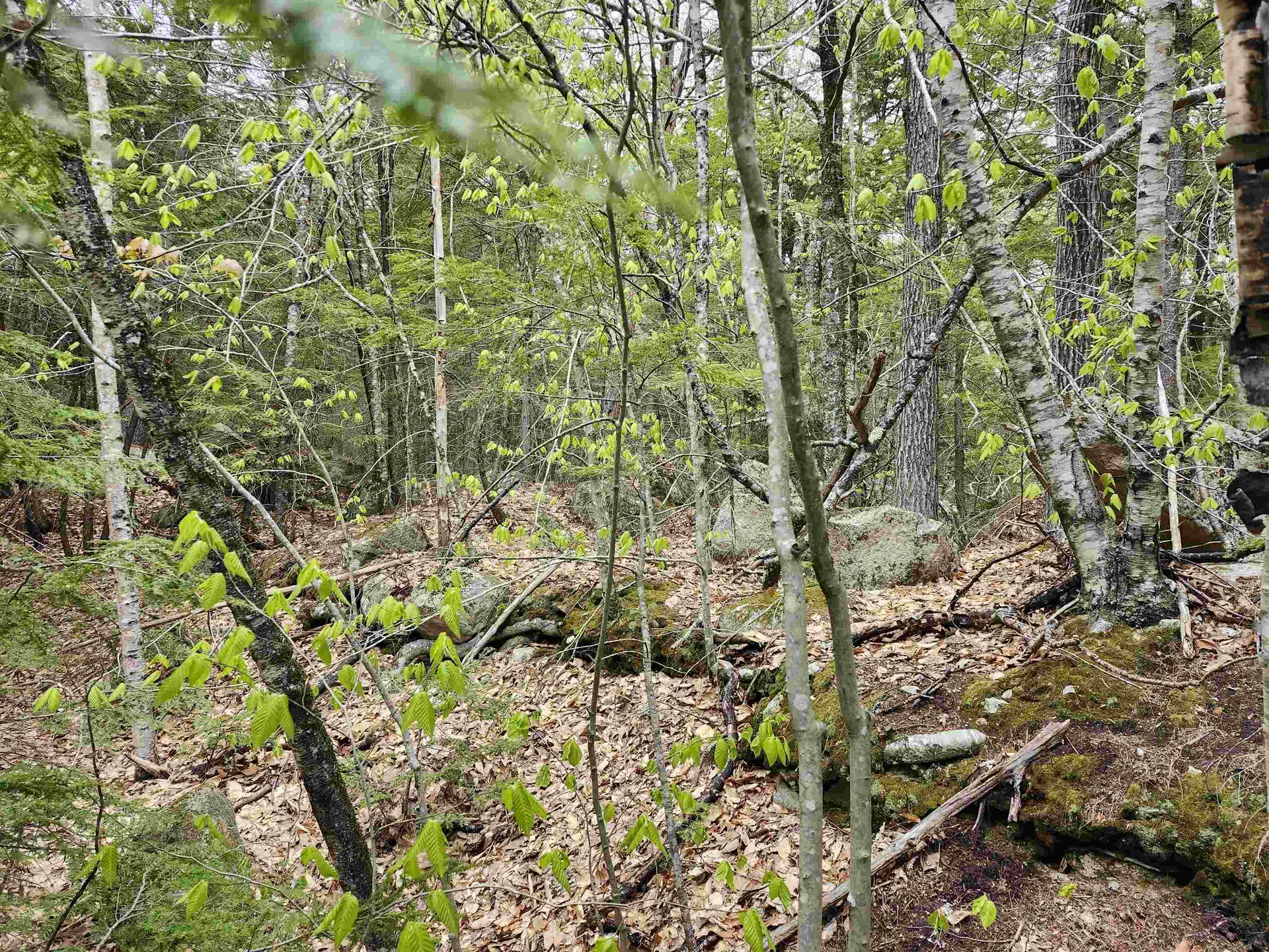 101-15 North Shore Road New Durham NH 03855