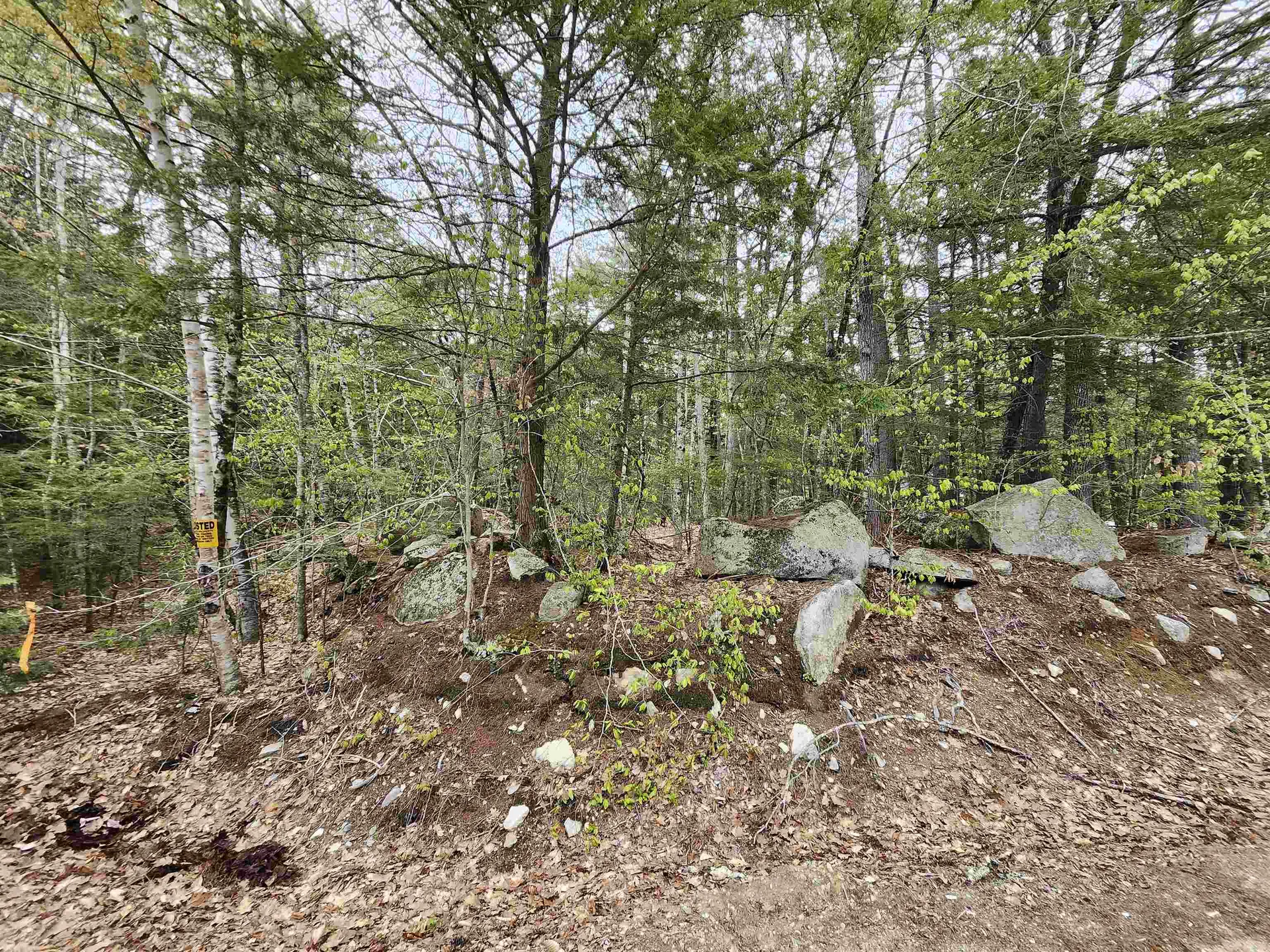 101-15 North Shore Road New Durham NH 03855